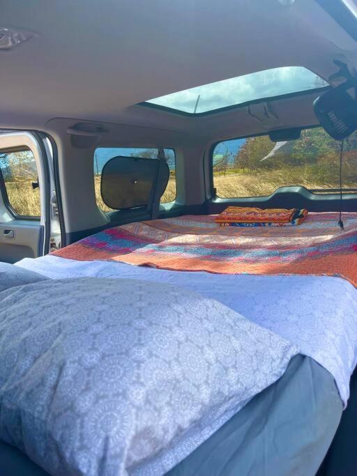 Campervan/Maui Hosted By Go Camp Maui Kihei Buitenkant foto